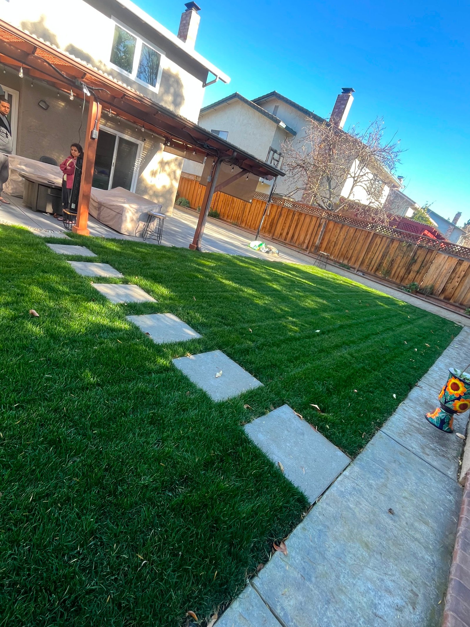 Lush backyard lawn with stone stepping stones leading to a covered patio