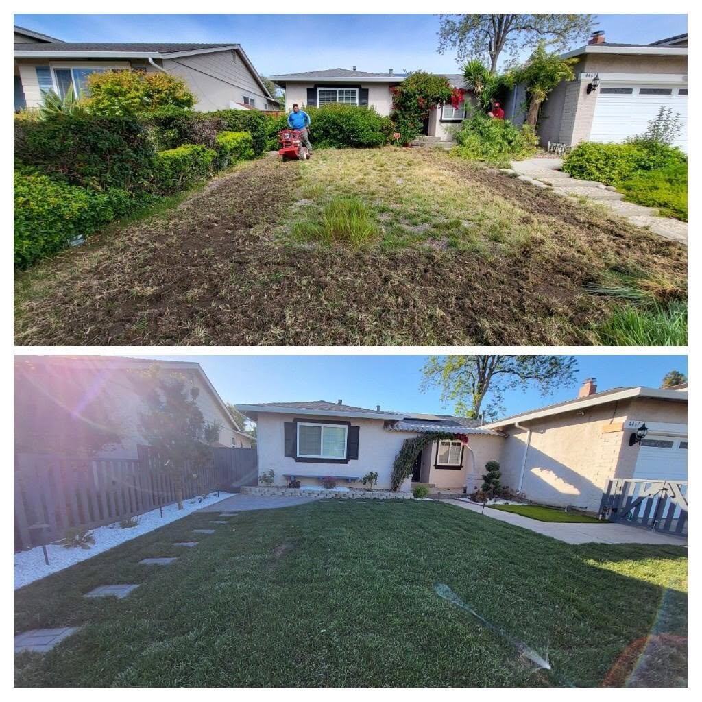 Front lawn before and after renovation, from bare dirt to lush green grass